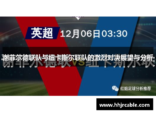 谢菲尔德联队与纽卡斯尔联队的激烈对决展望与分析