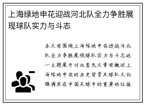 上海绿地申花迎战河北队全力争胜展现球队实力与斗志