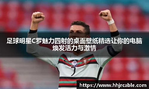 智博19有限公司